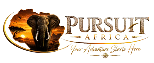 https://www.pursuitafrica.com/wp-content/uploads/2026/06/Pursuit-Africa-Horizontal-logo-transparent.png