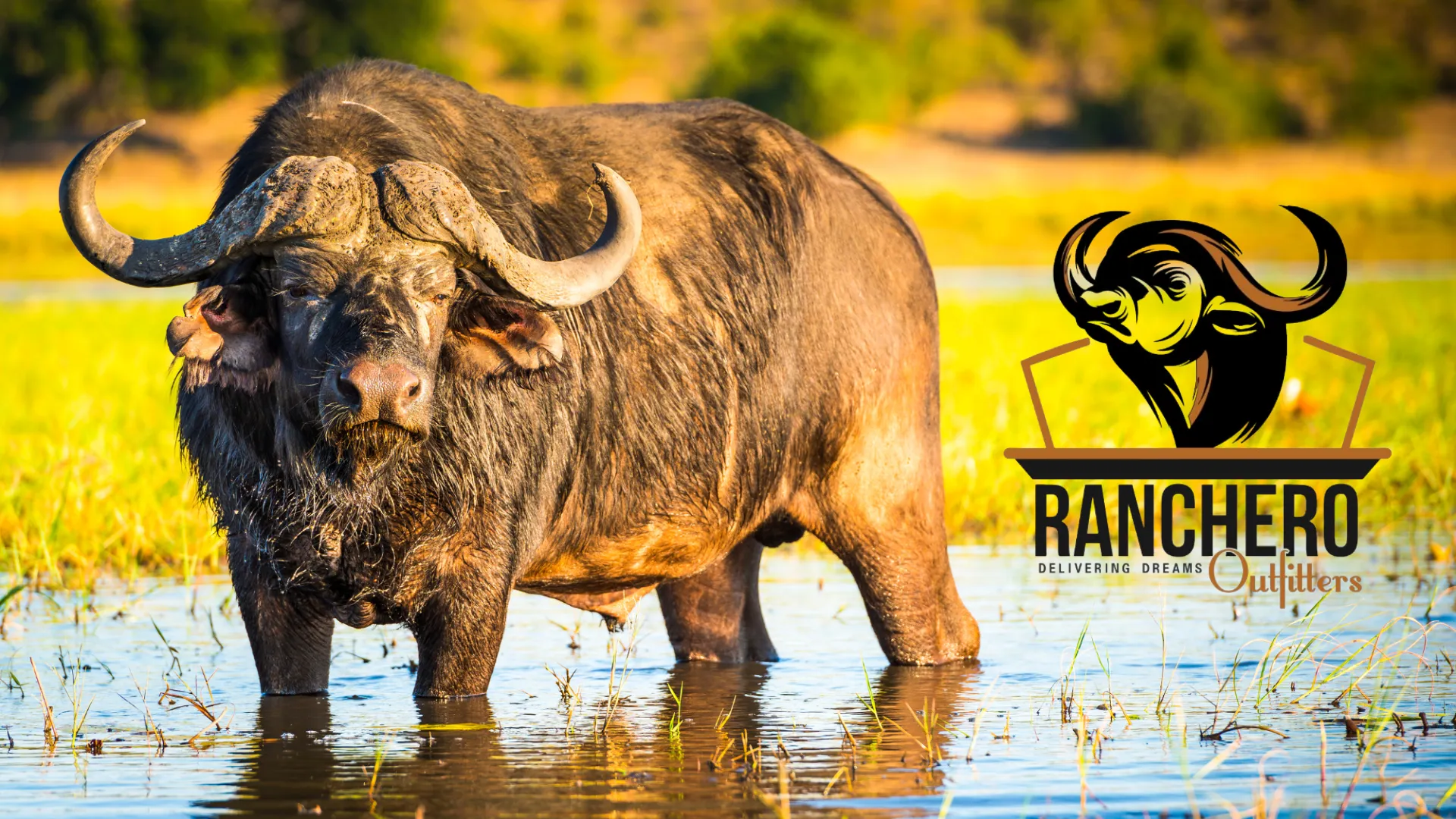 Ranchero Outfitters