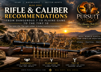 Rifle and Caliber Recommendations for Hunting in Africa From the Dangerous 7 to Plains Game and the Tiny 10