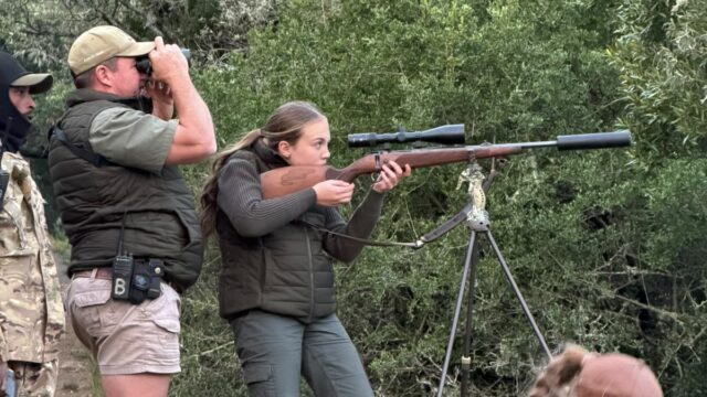 Belvedere Safaris