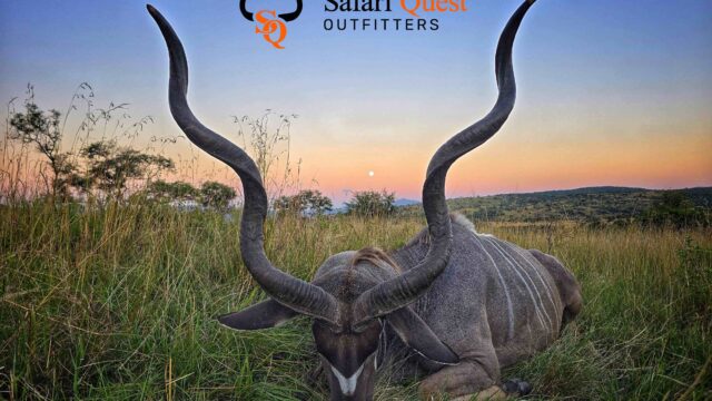 Safari Quest Outfitters