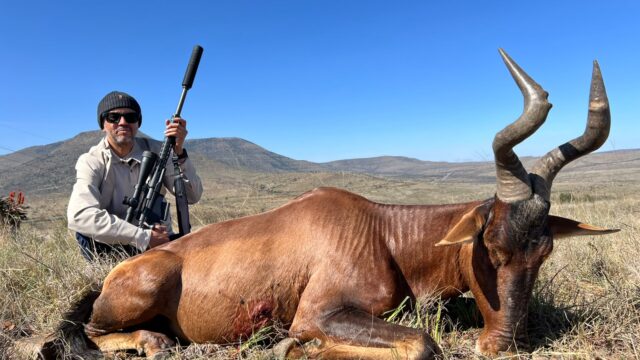 Belvedere Safaris
