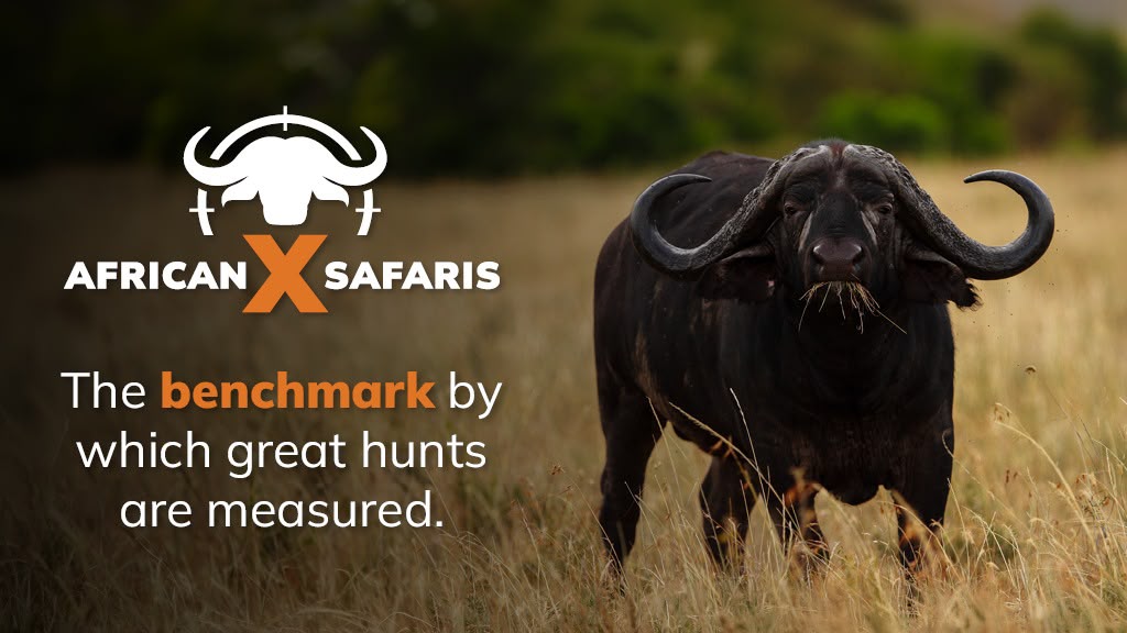 AFRICAN X SAFARIS