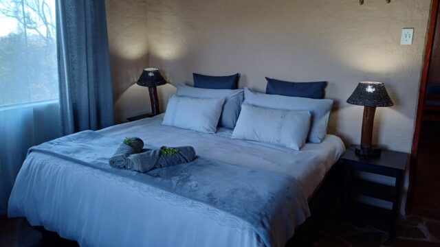 Belvedere Safaris