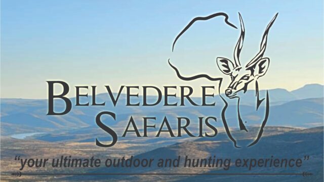 Belvedere Safaris