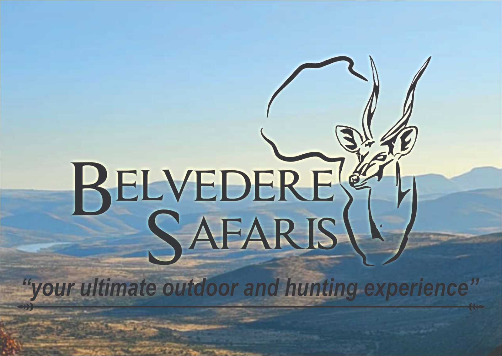 Belvedere Safaris
